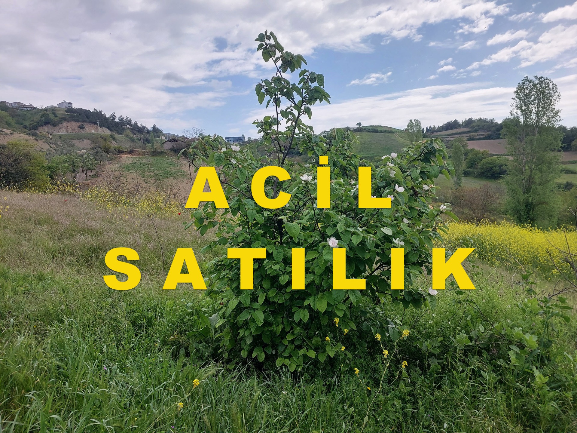 YENİŞEHİR KIZILKÖYDE ACİL SATILIK YAPIYA UYGUN 4950m2 TARLA